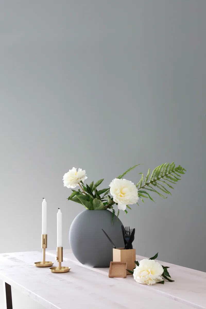 SPONPLATE WALLS2PAINT 12MM 239