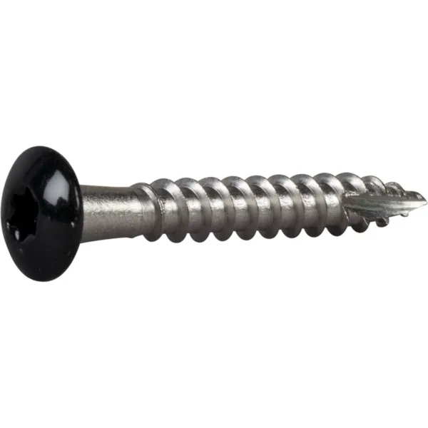 TAKRENNESKRUE PH SORT 4,8X35 A