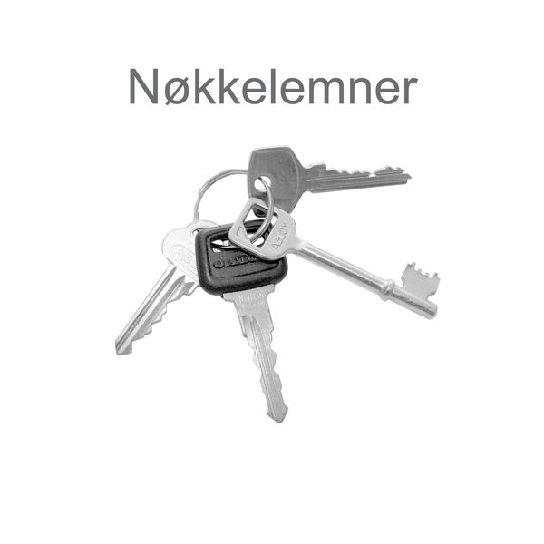 NØKKELEMNE TR4 FKR.(508/6)